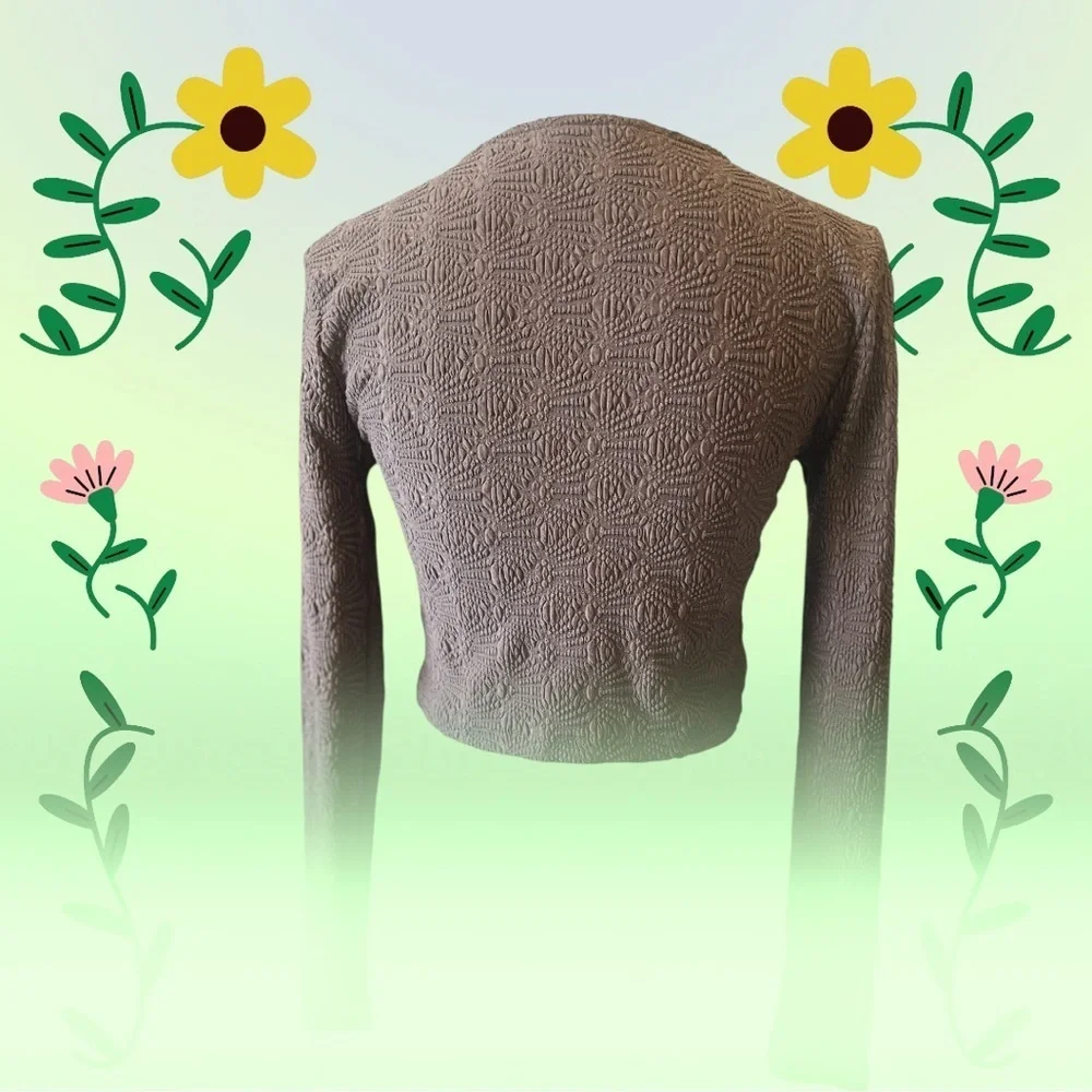 Zara Brown Fitted Long Sleeve Crop Top